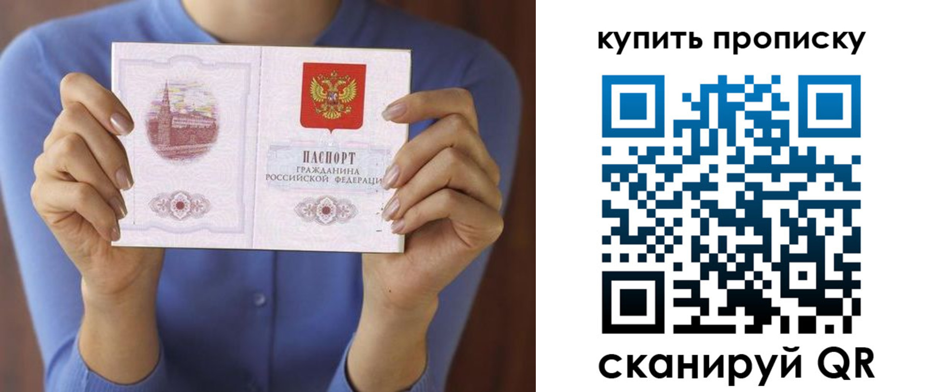 прописка для школы в Сланцах